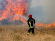 Nuovo incendio doloso su uno dei terreni dei baroni Gallelli